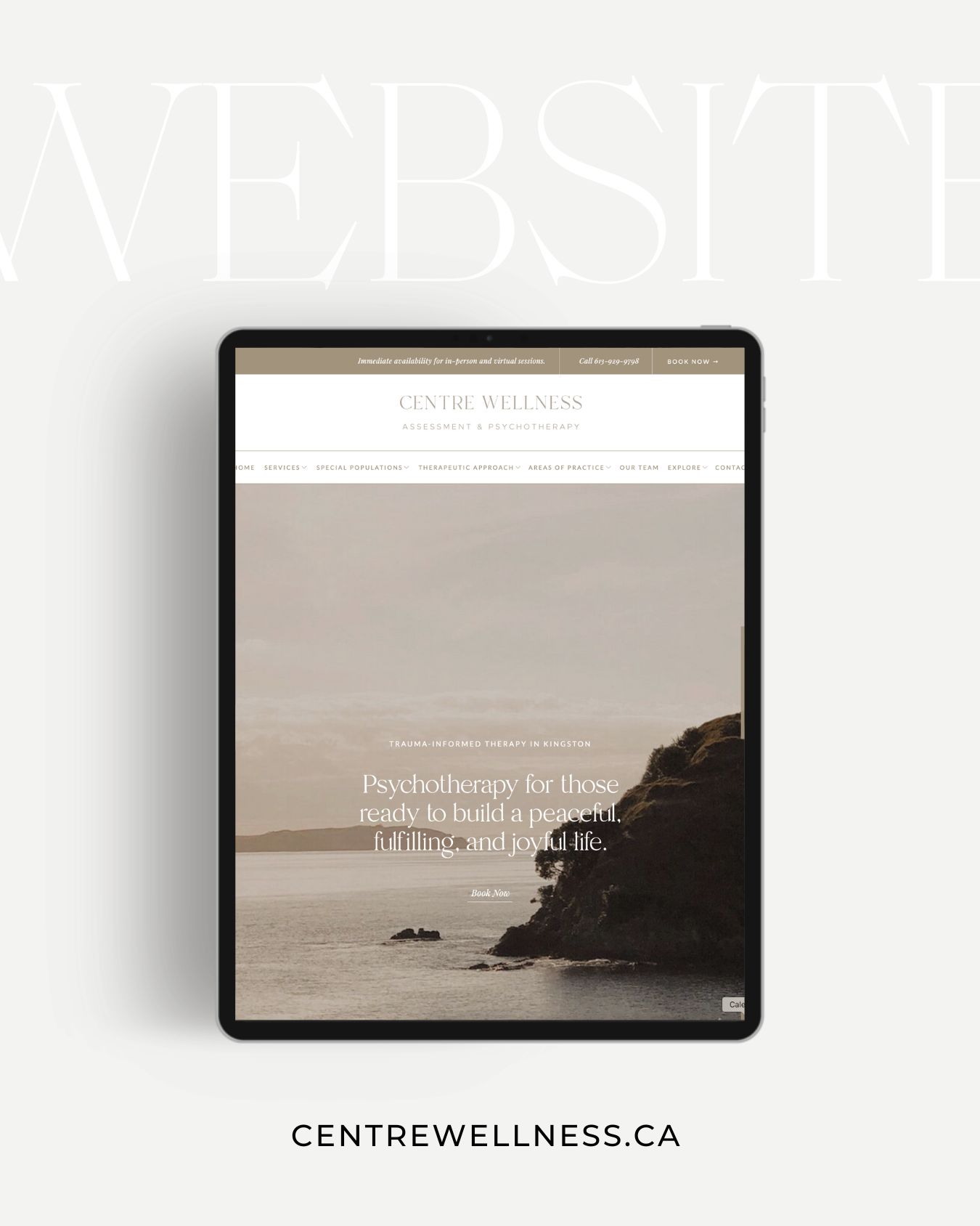 Showit vs Squarespace: which website platform is right for your business?